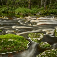 Adv_Open_Bear_River_Flow