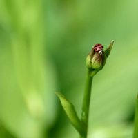 Animal_20180714_154241_