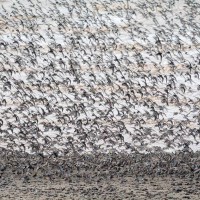 Animal_Harvestfest-7_