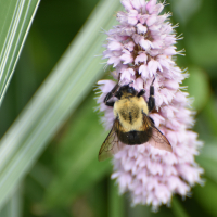 A_Colour_20180702_125718_