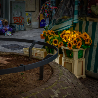 A_Colour_20180706-_DSC6084_