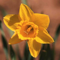 A_Colour_contest_18-1_