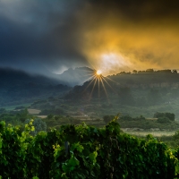 Landscape_Seascape_20180711-_DSC6801-2_