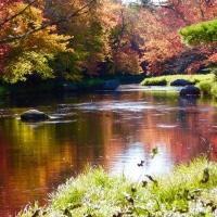 Landscape_Seascape_Autumn_in_Keji