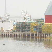 Landscape_Seascape_Fog_at_Stonehurst