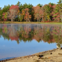 Landscape_Seascape_Keji_Reflections