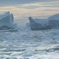 Open_Spring_Visitors