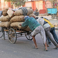 People_IMG_3859PushBicycle72_